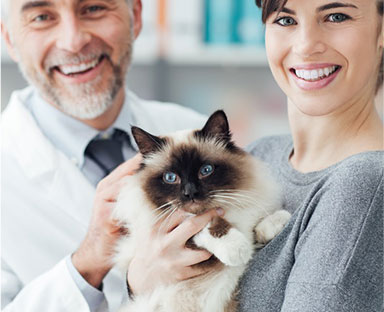 Hospital Veterinário Santa Cecília